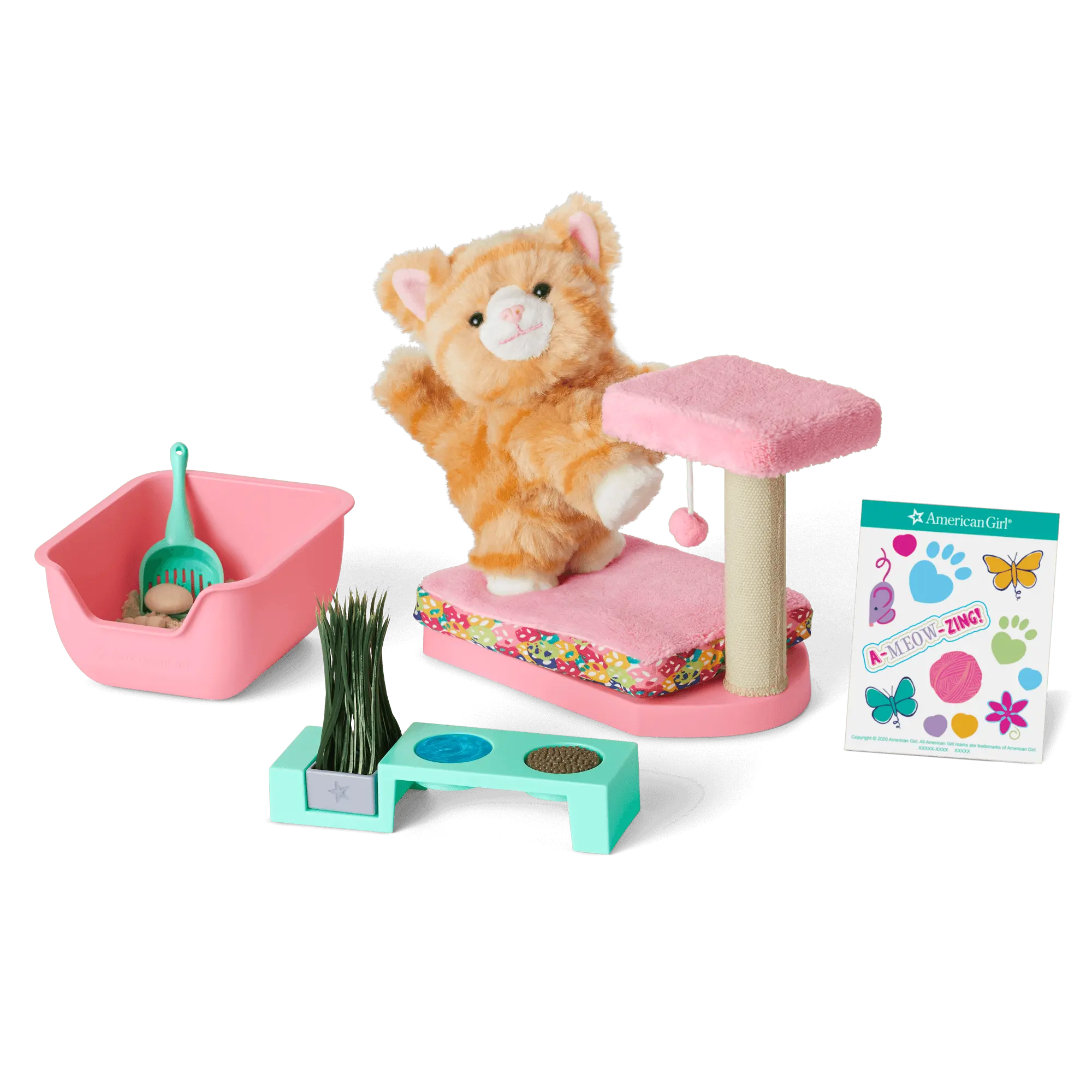 Cat Care Essentials - Image 2